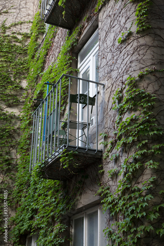 Ivy Wall Old House Facade