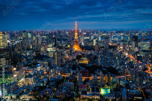 Spectacular Night View of Tokyo City and skyscrapers