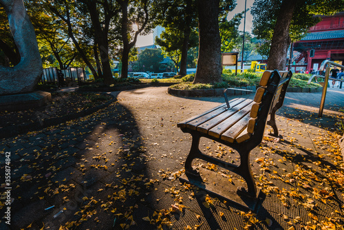 A park bench in the park during Autumn foliage on a beautiful sunny day
