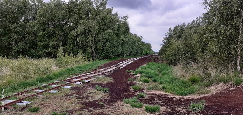 Fototapeta premium Torfbahn Himmelmoor