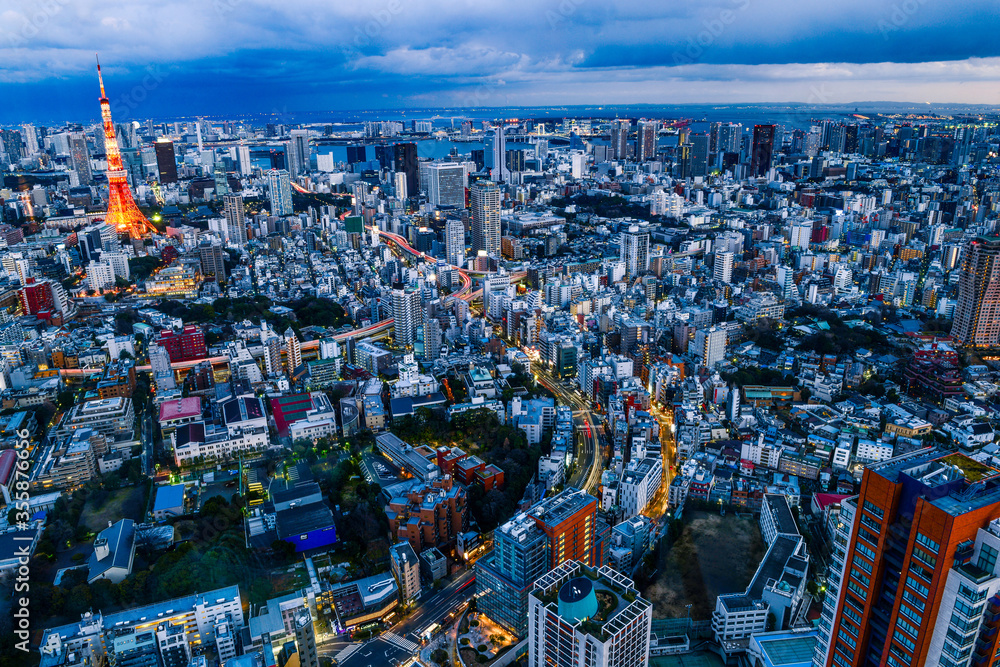 Fototapeta premium Gorgeous evening view of densely populated Tokyo Metropolis with Tokyo Tower