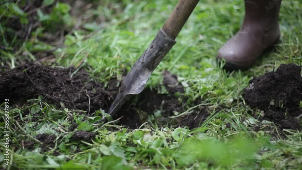 Digging ground for planting vegetables. Shovel for plowing soil. Work on a site outside the city. Processing a wild area to create a garden. Rubber boots and garden tools. Digging ground for planting vegetables. Shovel for plowing soil. Work on a site outside the city. Processing a wild area to create a garden. Rubber boots and garden tools.