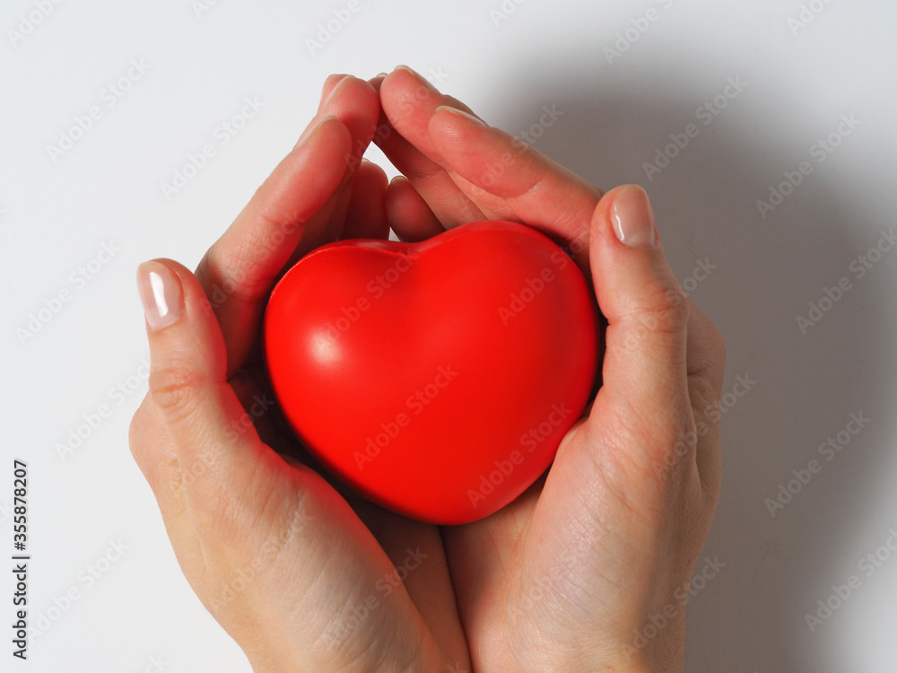 red heart in women's hands isolated on a white background. Concept of charity, health, and love red heart in women's hands isolated on a white background. Concept of charity, health, and love