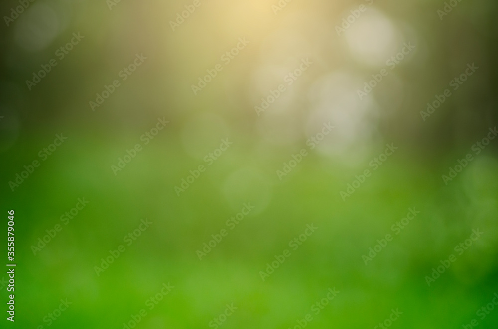Abstract green background with bokeh and golden light