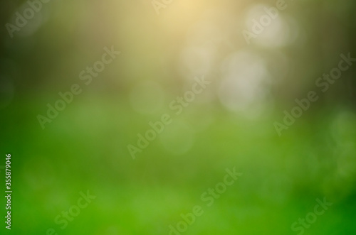 Abstract green background with bokeh and golden light
