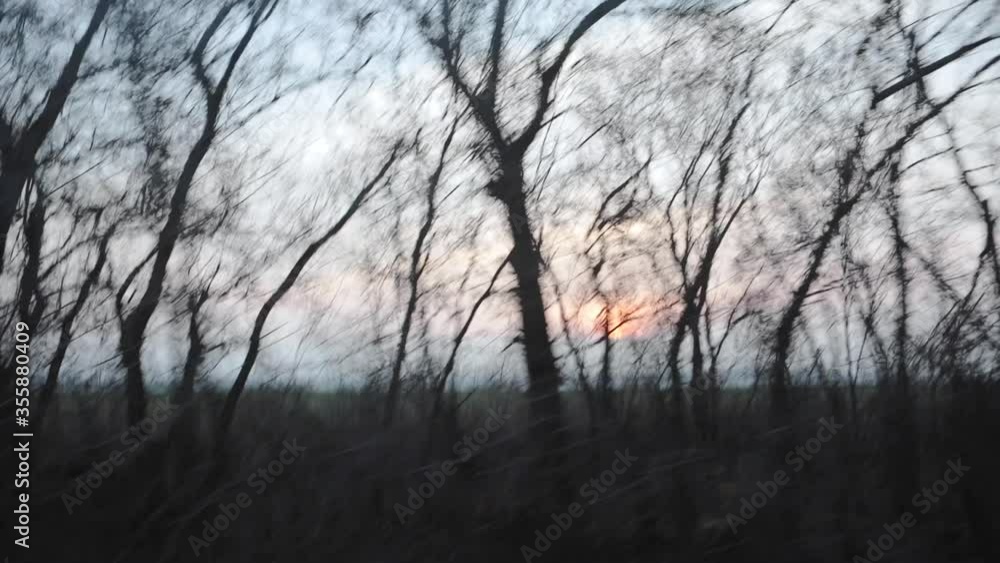 view of sunset at highway though trees. speed blur view of sunset at highway though trees. speed blur