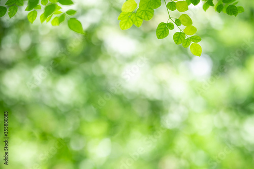 Nature of green leaf in garden at summer. Natural green leaves plants using as spring background cover page greenery environment ecology wallpaper