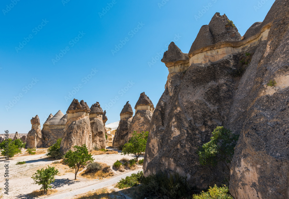 Pasabag Monks Valley with Fairy Chimneys and Mushroom Rock. Known for its mushroom shaped rocks. Cappadocia, Nevsehir, Turkey.
