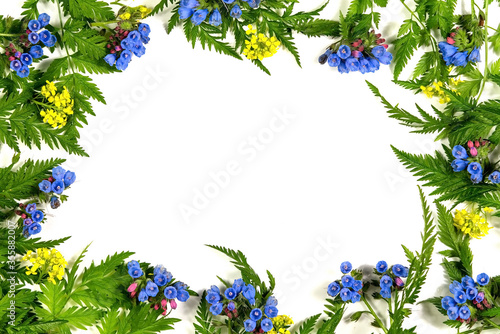 Flower frame made of wild flowers on a white isolated background. Template for text, postcards.