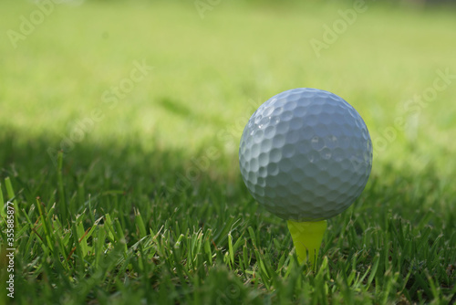 Golf ball on tee in the evening golf course with sunshine background