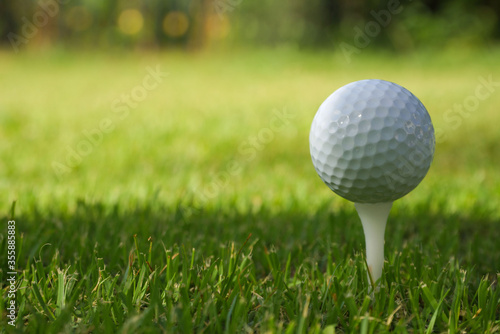 Golf ball on tee in the evening golf course with sunshine background