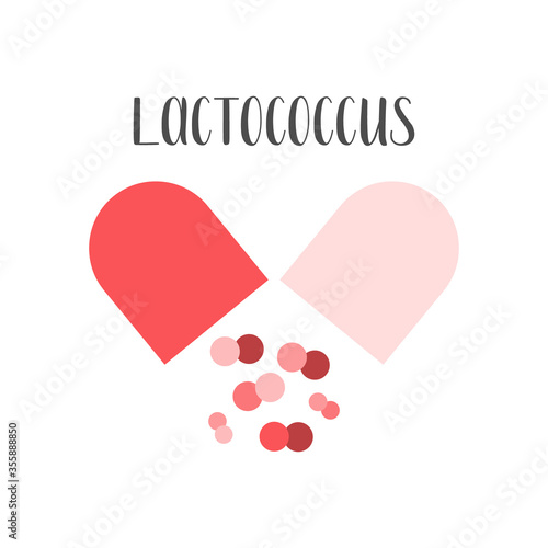 Lactococcus. Probiotics. Lactic acid bacteria. Good bacteria and microorganisms for gut and intestinal flora health. Vector set photo