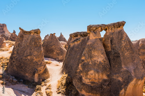 Devrent (Imagination) Valley. Fairy Chimneys (Turkish: Peri Bacalari) in Cappadocia - Goreme - Turkey.
 photo