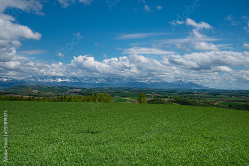 Slika na platnu 6月の残雪の山々と美瑛の大地