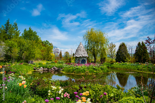 上野ファームのノームのおうち