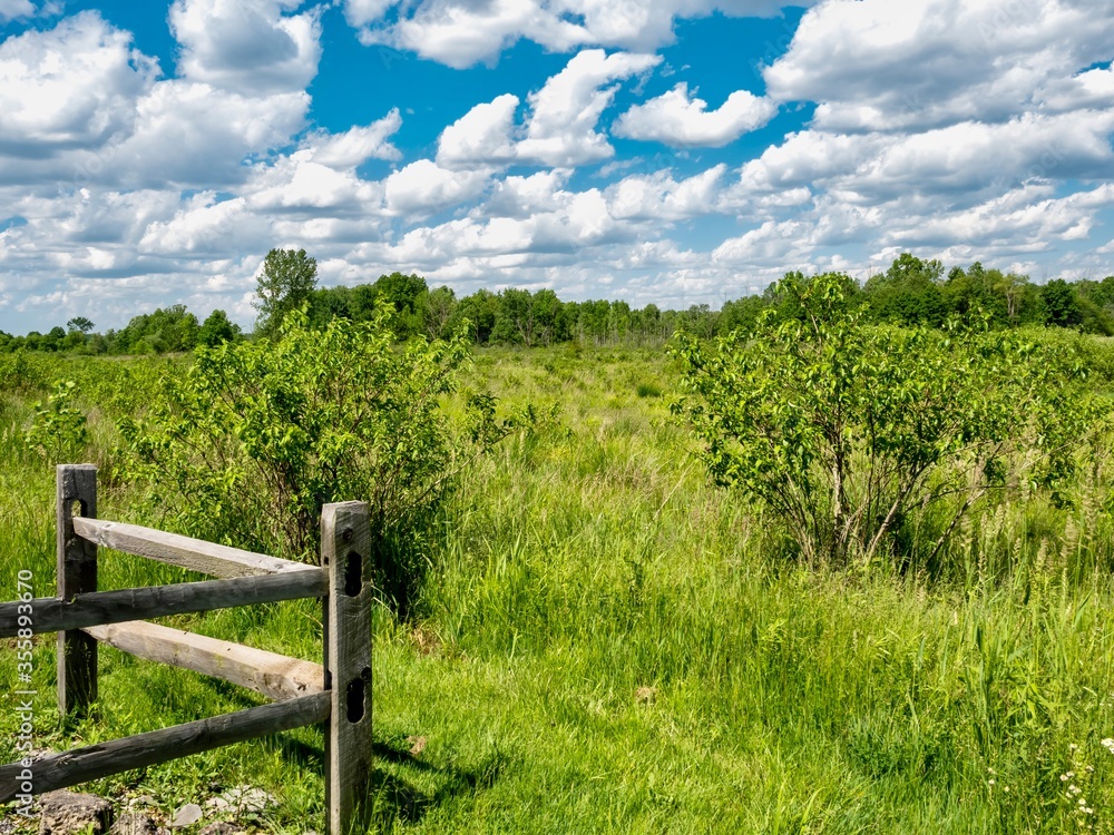 Mill Creek Wetlands in Ohio on a beautiful summer day with a wooden fence in the foreground and fields of green with a bright blue and cloudy sky in the background.