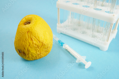 Genetically modified yellow apple with syringes on blue background. Old GMO apple with syringe in laboratory concept