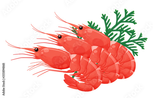 敷き葉のある赤エビのイラスト_ヒバ_ヒノキアスナロ