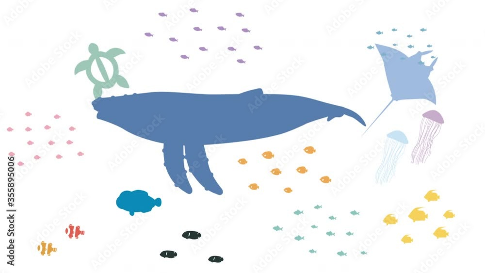 海の生き物の動画 トランジションアニメーション 海の生き物の動画 トランジションアニメーション