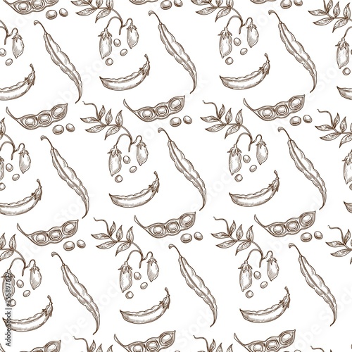 Sweet pea pod  growing plant with leaves seamless pattern