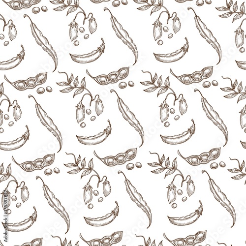 Sweet pea pod, growing plant with leaves seamless pattern