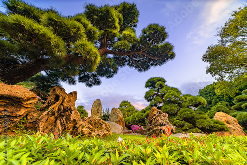 Photography Hongkong Park.
