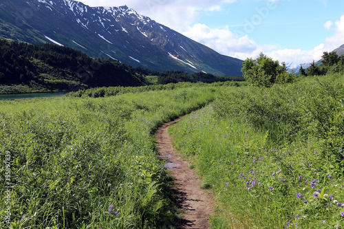 Vagt Lake Trail Kenai Peninsula Alaska photo