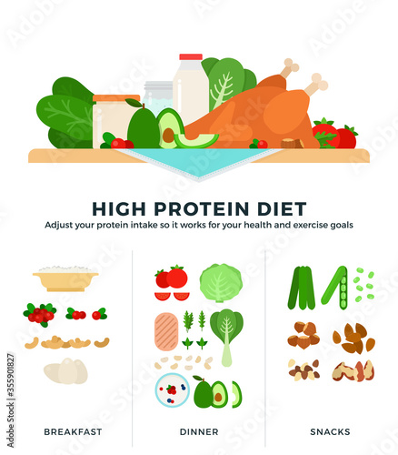 High protein diet vector illustrations in flat design. Foods containing high dose of protein.