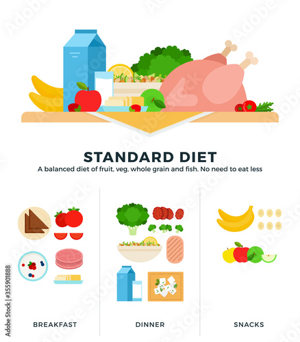Standard diet vector flat illustrations. A balanced diet of fruits, vegetables whole grain and fish. No need to eat less.