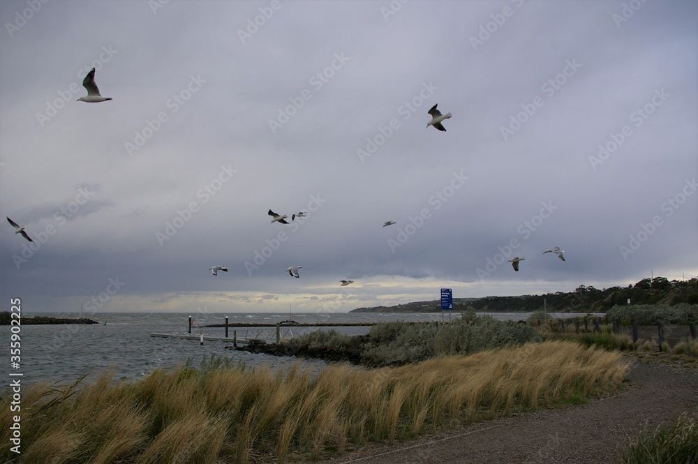 Storm approaching Clifton Springs, from Corio Bay, Victoria, Australia. Storm approaching Clifton Springs, from Corio Bay, Victoria, Australia.