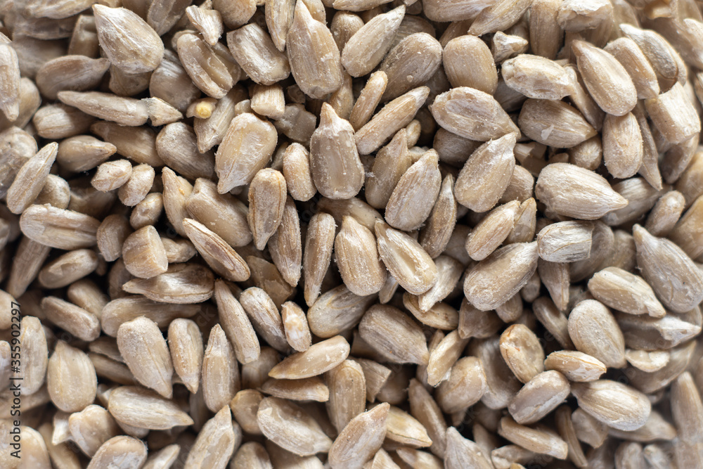 Close up texture background of sunflower seeds Close up texture background of sunflower seeds