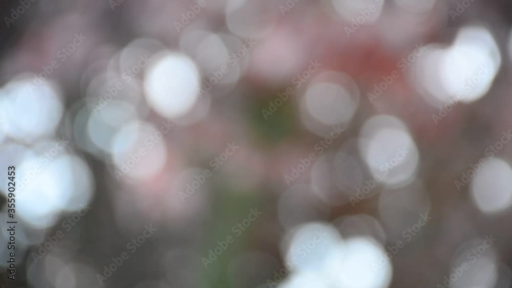Very interesting bokeh on a blurred background Very interesting bokeh on a blurred background