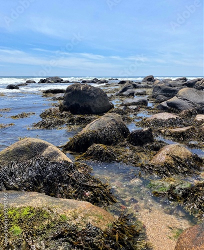 View of a rocky beach on a sunny day in Weekapaug, Rhode Island 