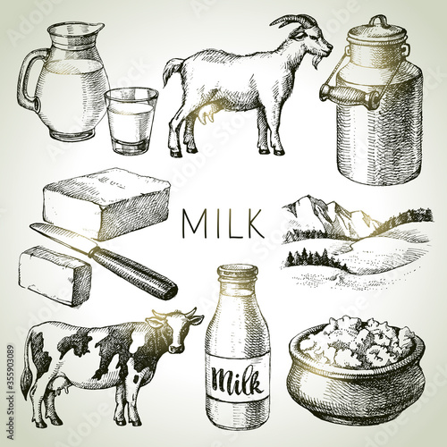 Hand drawn sketch milk products set. Vector black and white vector vintage illustration