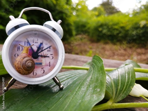 Snail on the clock. The concept of " Time goes slowly