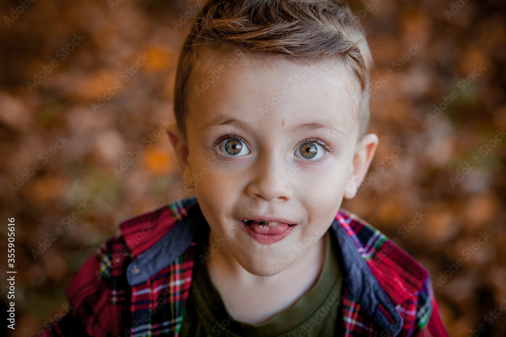 Portrait of beautiful smiling little boy at autumn park. Portrait of beautiful smiling little boy at autumn park.