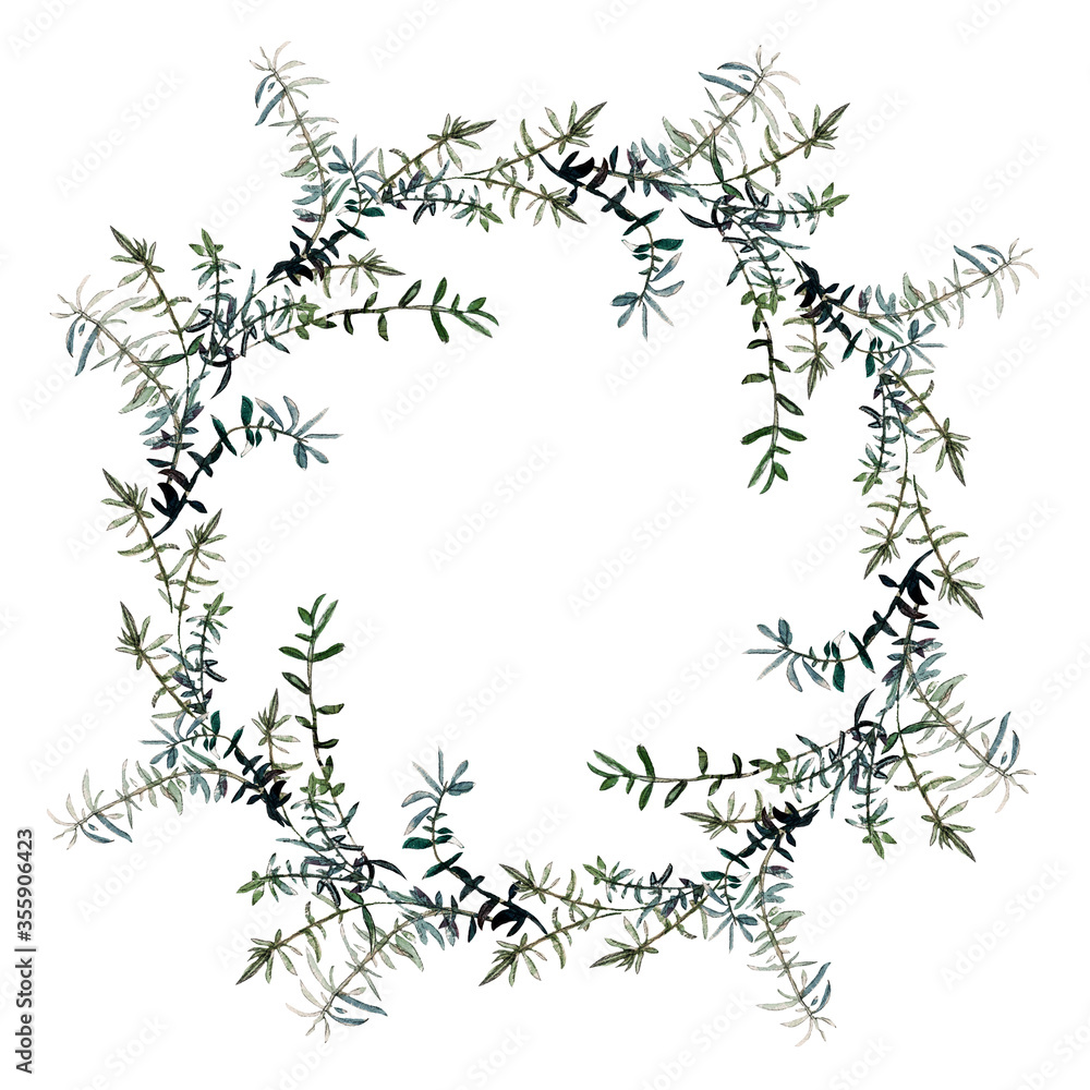 Herbal wreath of green rosemary twigs isolated on white. Watercolour illustration. For invitations, cards, menu, cookbook and packaging design.