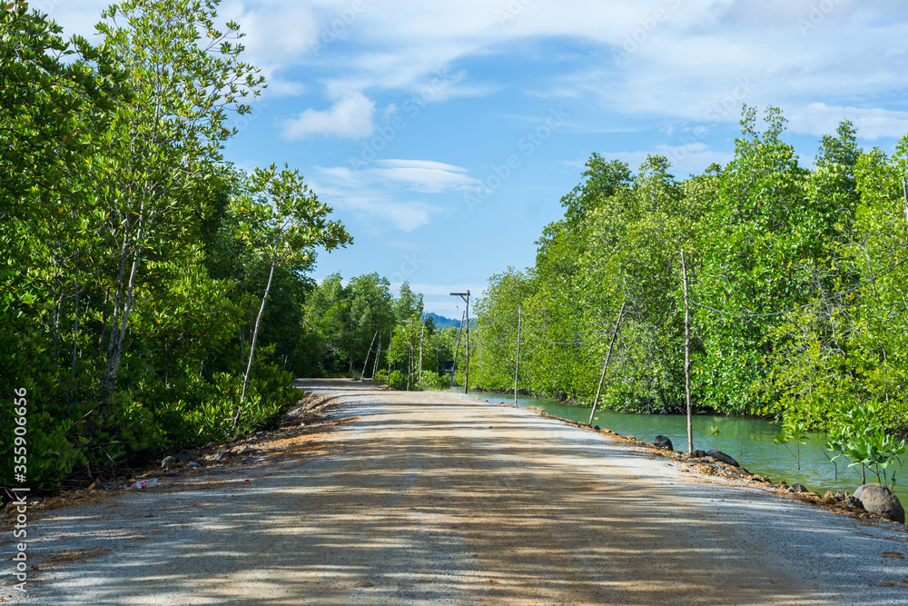 Dirt road in mangrove forest and beautiful sky to go to the sea in Phang Nga,Thailand