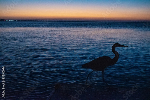 Blue Hour on South Padre Island