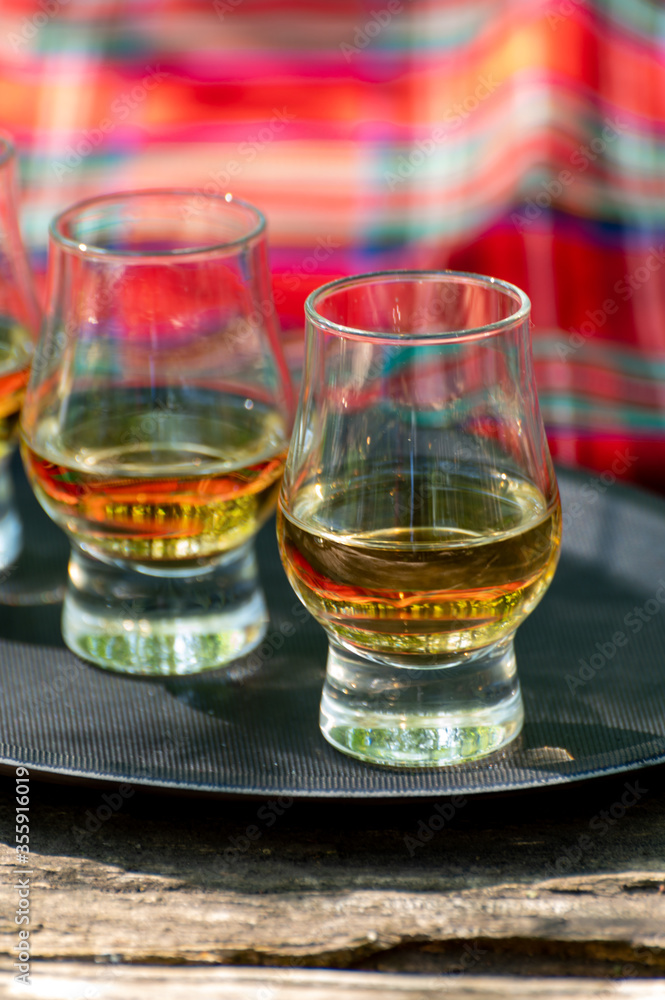 Tasting of different Scotch whiskies on outdoor terrace, dram of whiskey and red tartan Tasting of different Scotch whiskies on outdoor terrace, dram of whiskey and red tartan