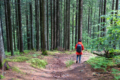 Im Schwarzwald am Kniebis  bei Freudenstadt photo