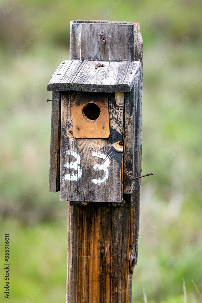 Weathered old birdhouse with number 33 painted on it