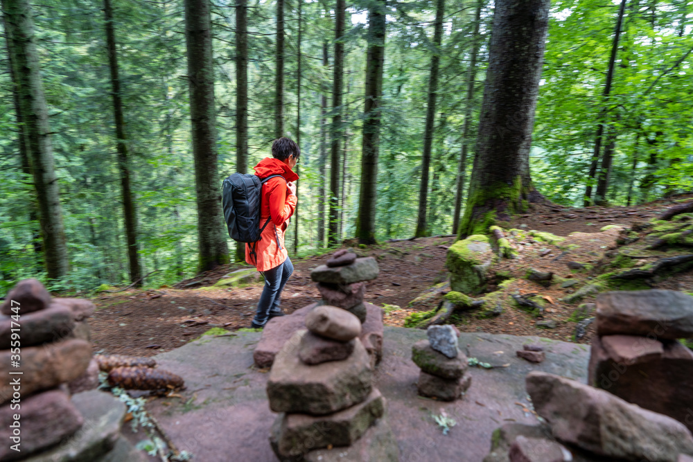 Fototapeta premium Im Schwarzwald am Kniebis bei Freudenstadt