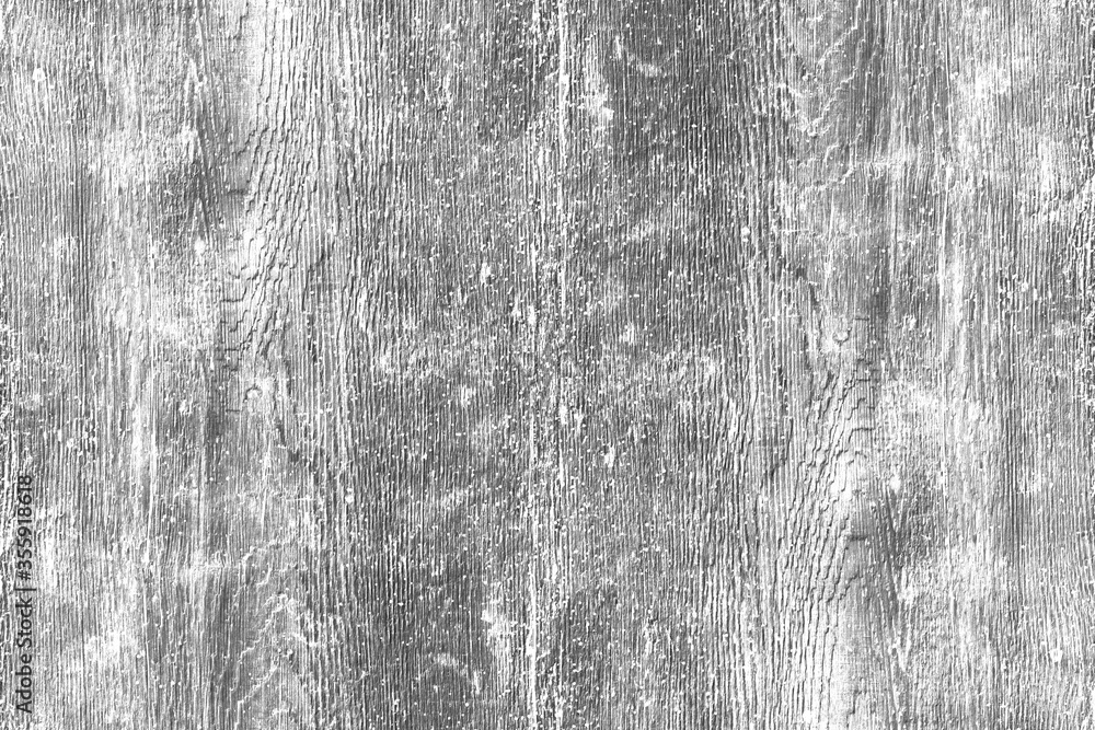 grey wood grain tree timber background texture structure backdrop grey wood grain tree timber background texture structure backdrop