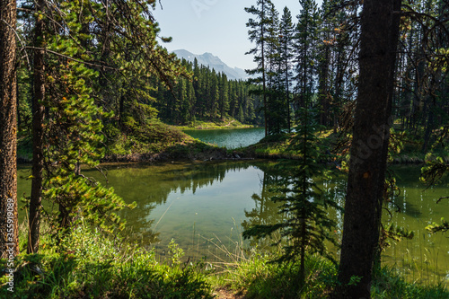 maligne lake views  Jasper National Park  Alberta  Canada
