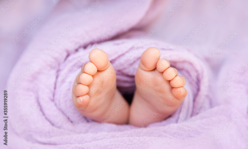 Newborn baby feet wrapped on soft lilac background, closeup of infant barefeet in a selective focus Newborn baby feet wrapped on soft lilac background, closeup of infant barefeet in a selective focus