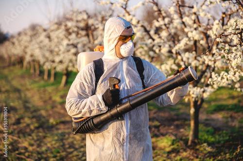 Fruit grower in protective suit and mask walking trough orchard with pollinator machine on his backs and spraying trees with pesticides.
