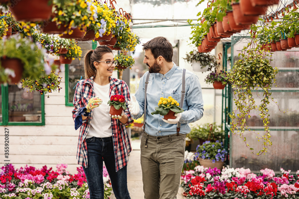 Fototapeta premium Gardeners walking in greenhouse and talking and carrying pots with flowers.