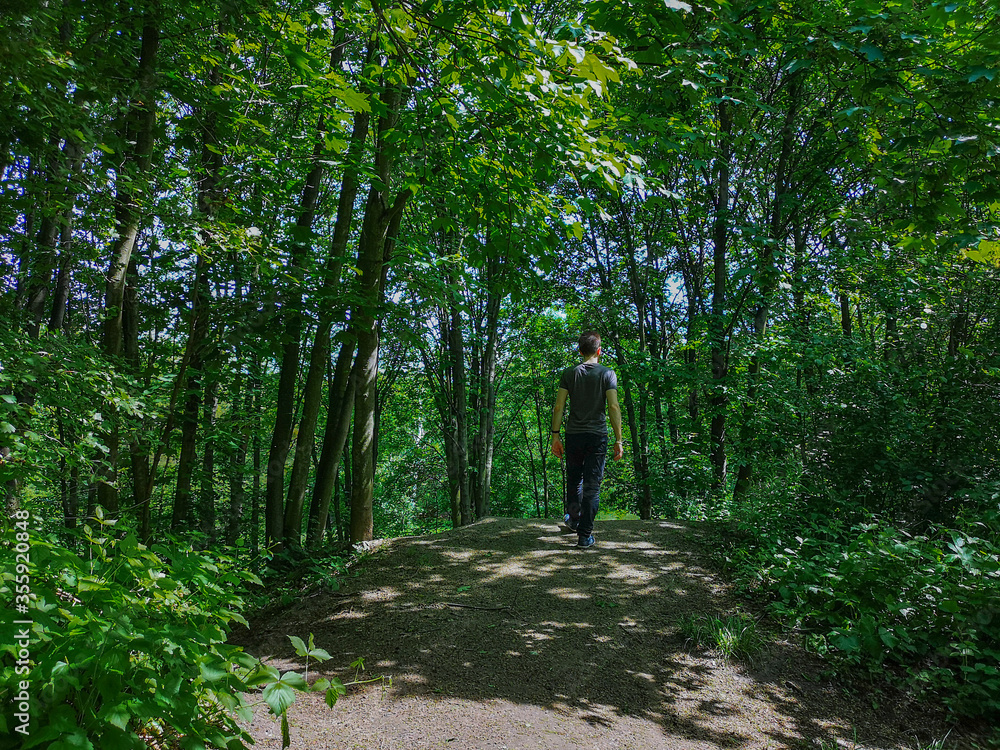 Man in t-shirt at edge of hill in park with thin trees Man in t-shirt at edge of hill in park with thin trees