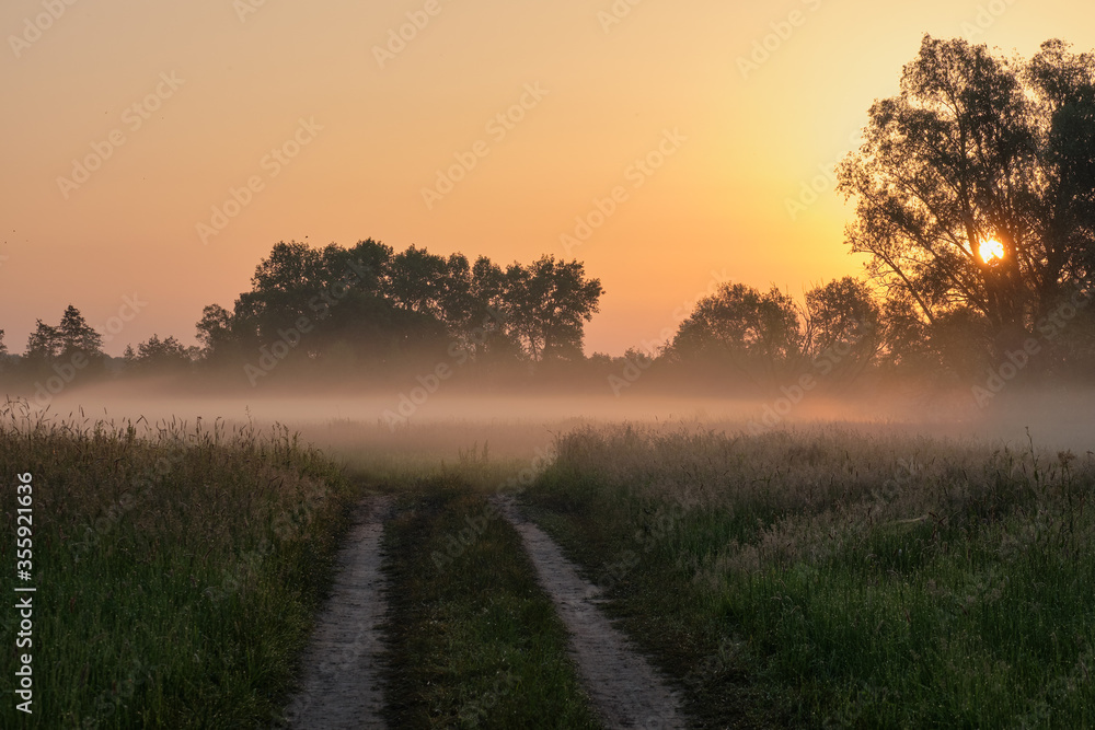 Fototapeta premium sunrise over the field